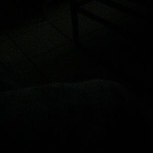 Meet your Posher, Jazmine